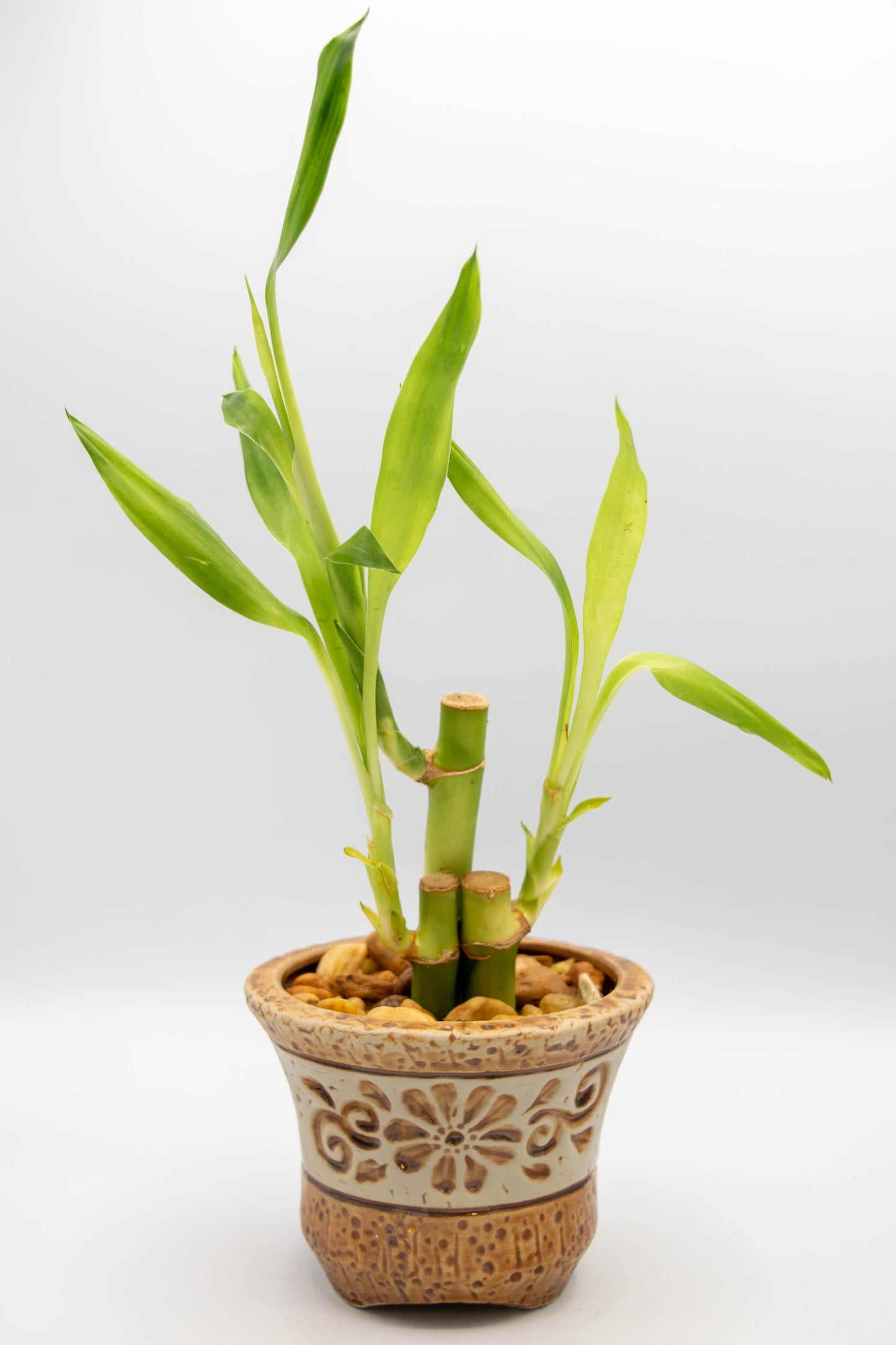 Ceramic Circular Floral Planter Large