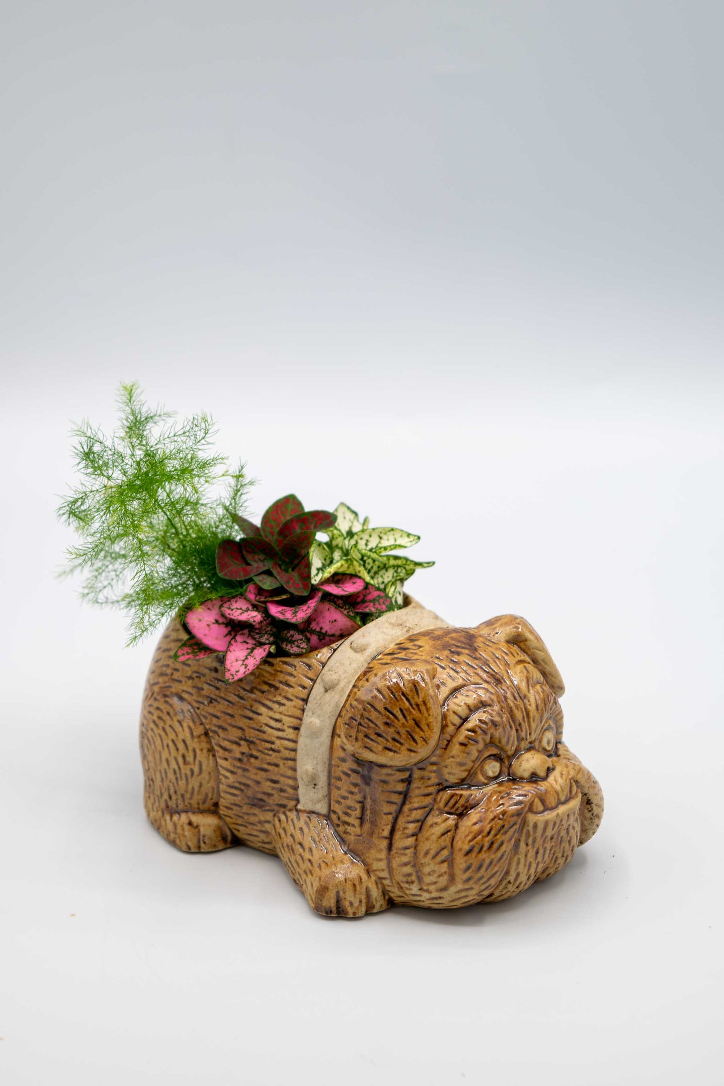 Bulldog Planter