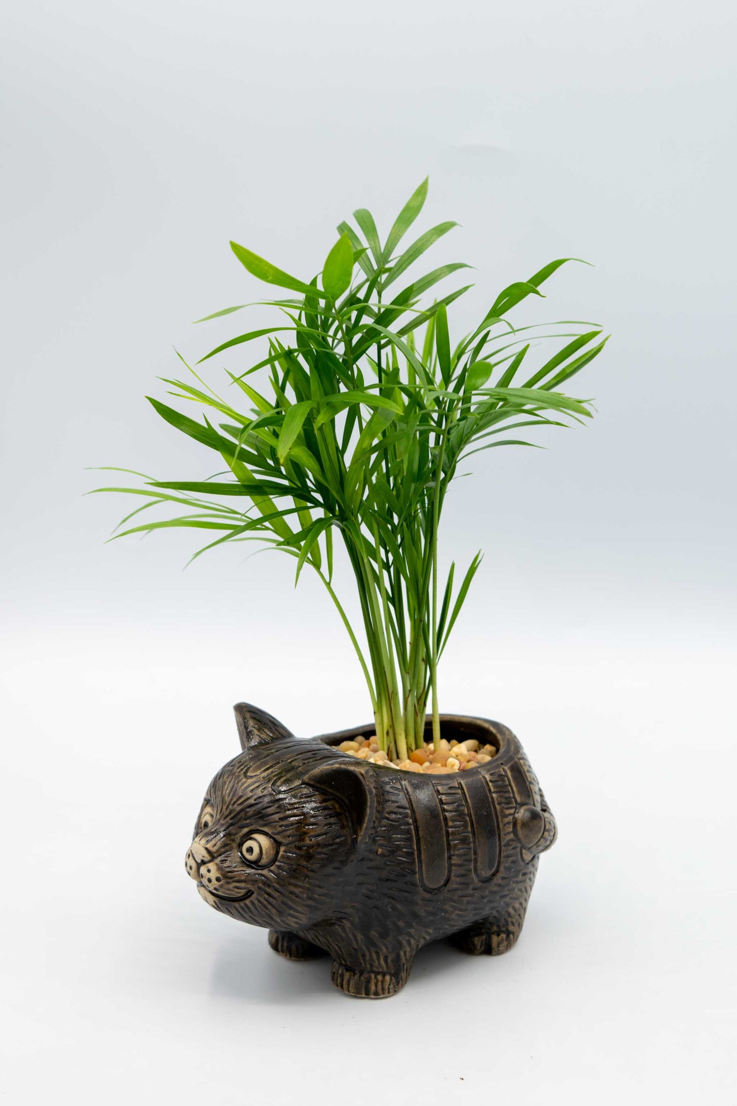 Cat Planter