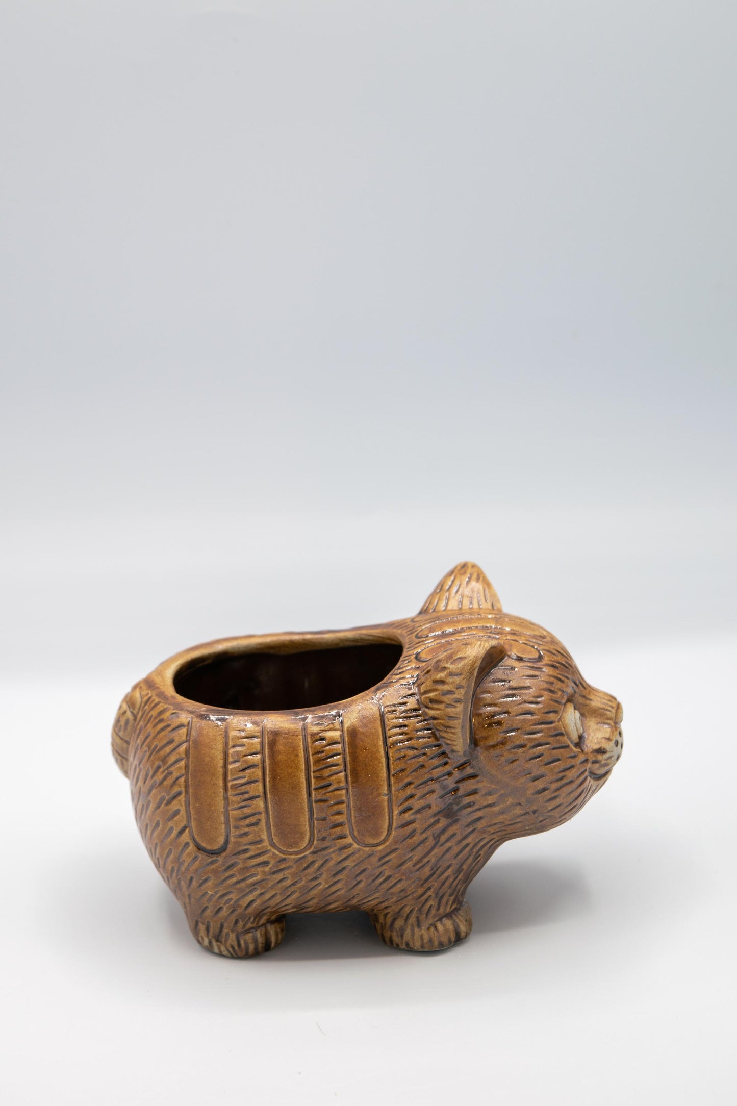 Cat Planter