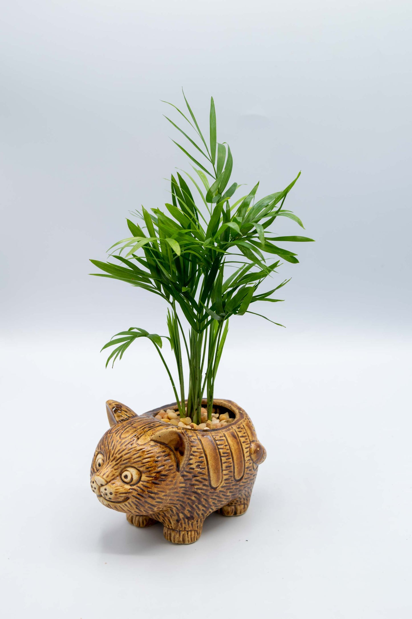 Cat Planter