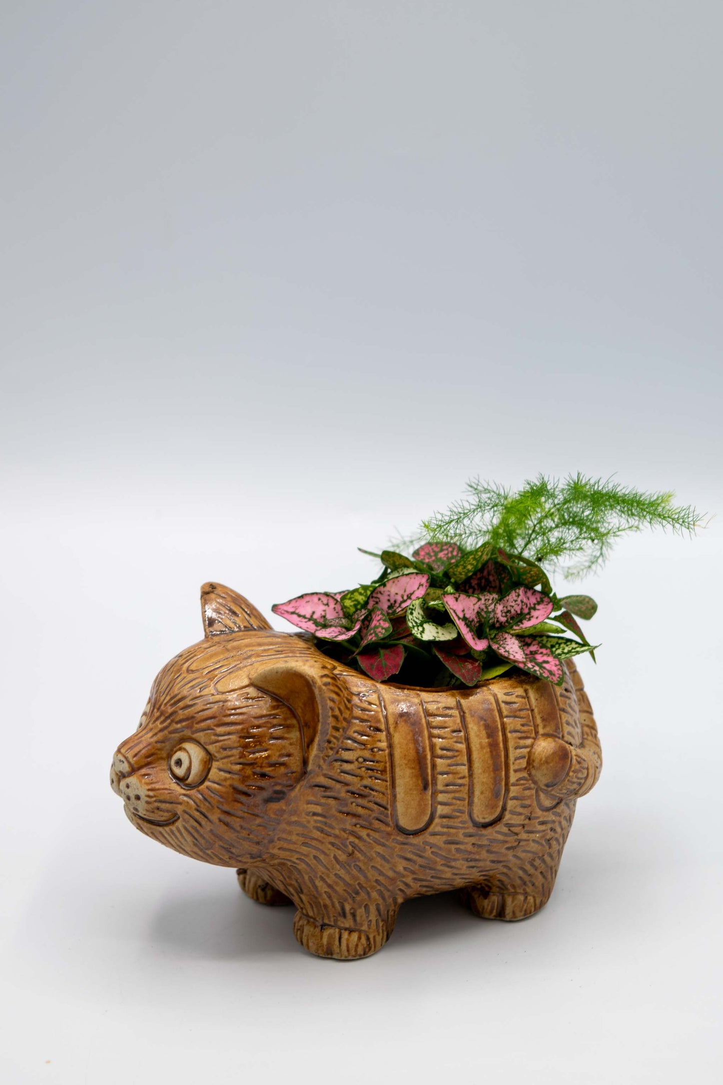 Cat Planter