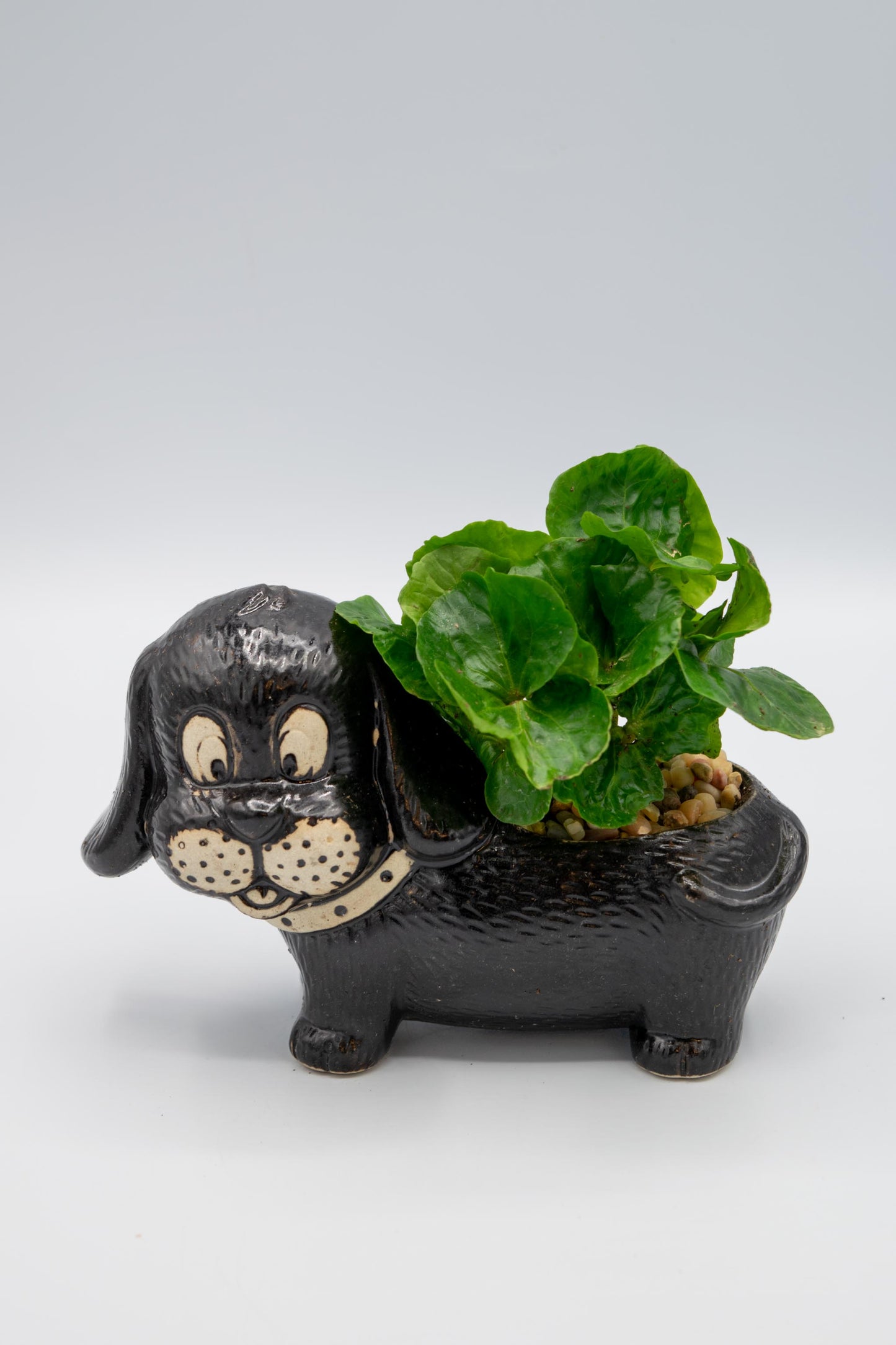 Dachshund Planter