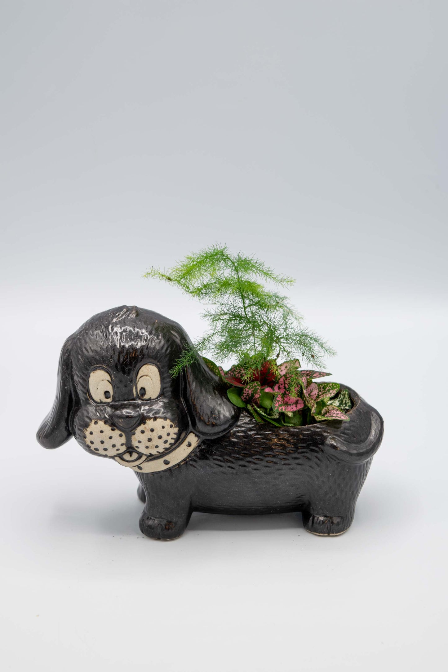 Dachshund Planter