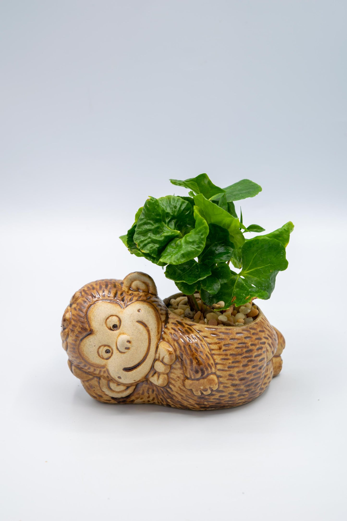 Monkey Bowtie Planter