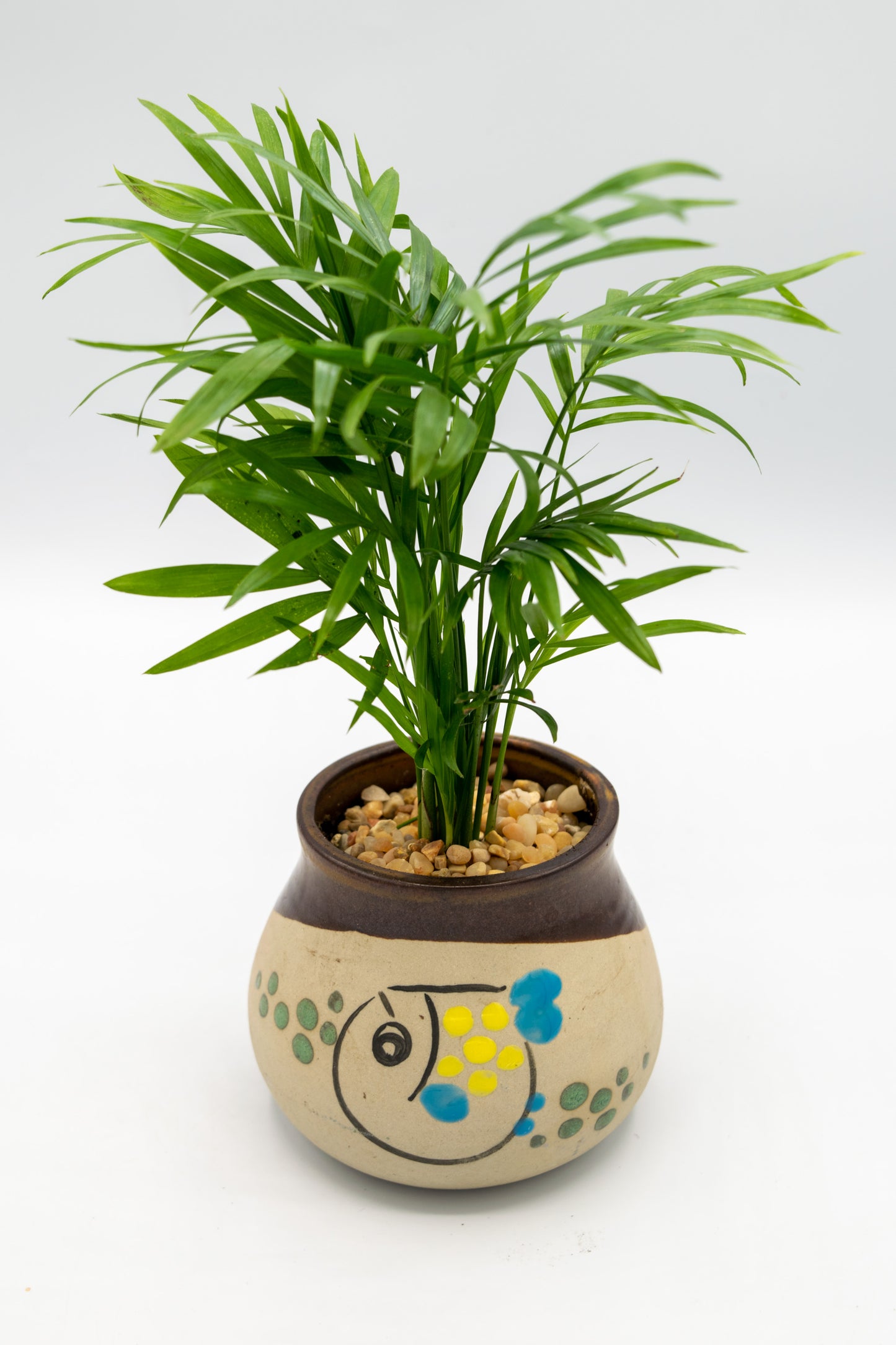 Blowfish Painted Planter