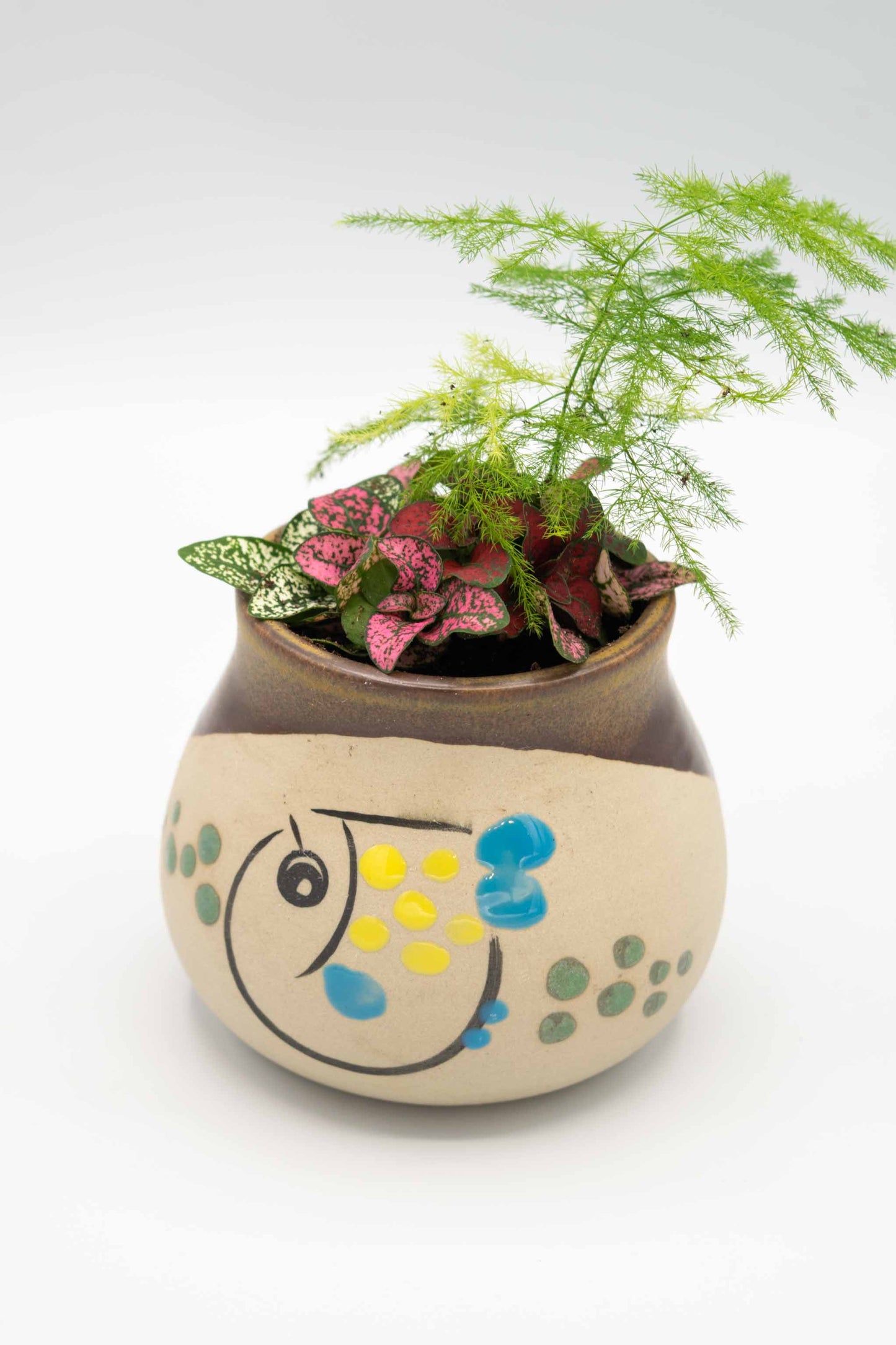 Blowfish Painted Planter