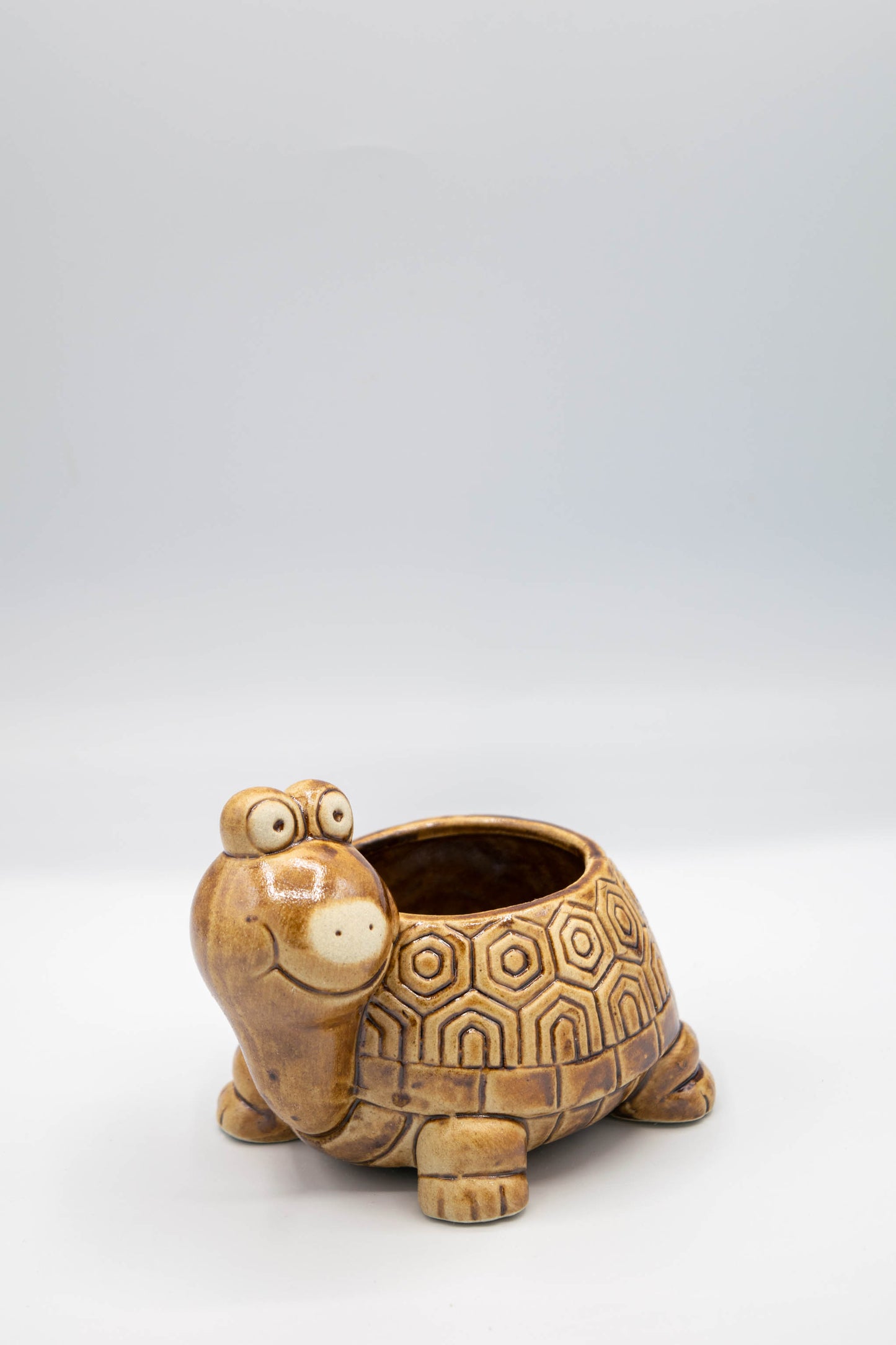 Turtle Planter