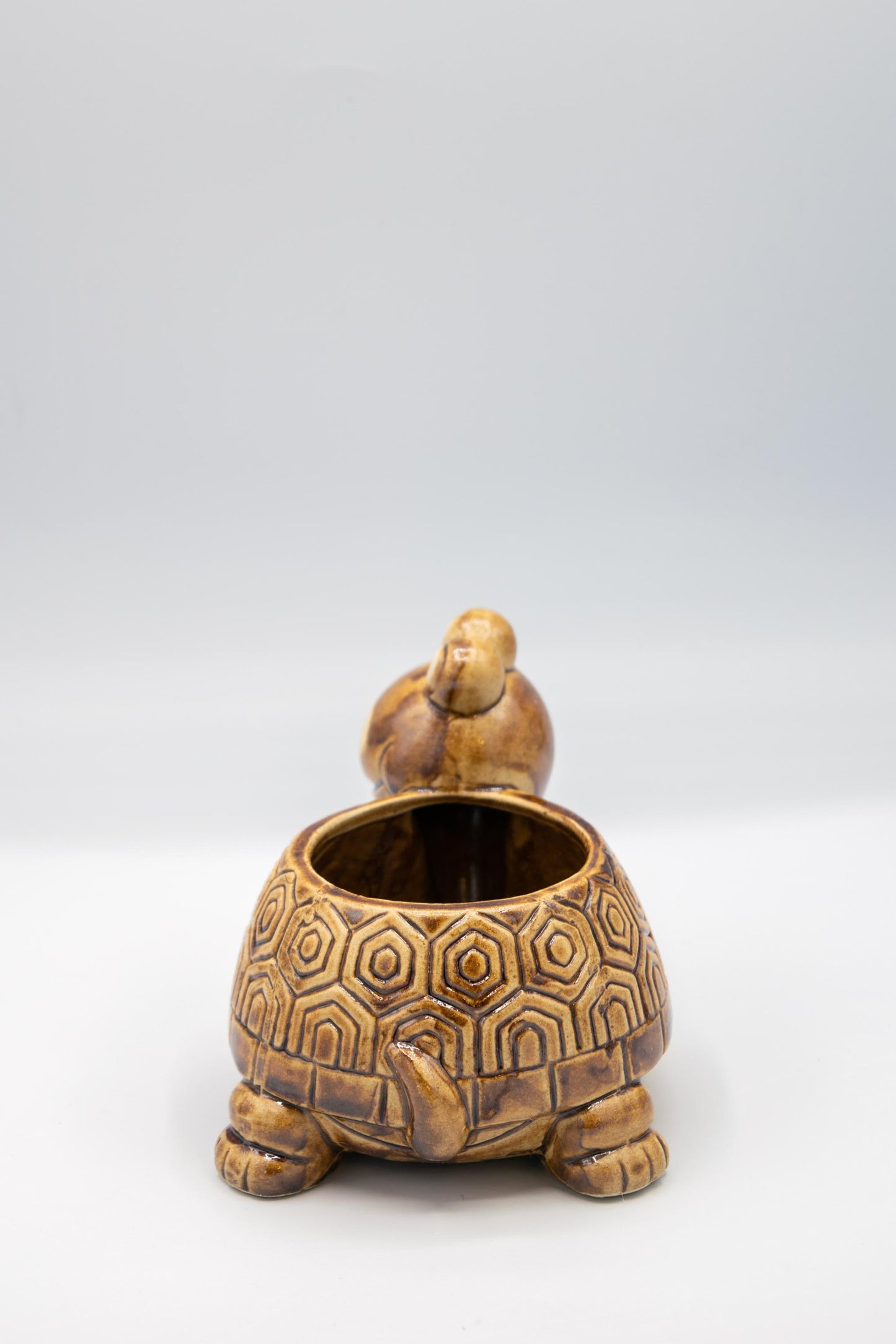 Turtle Planter