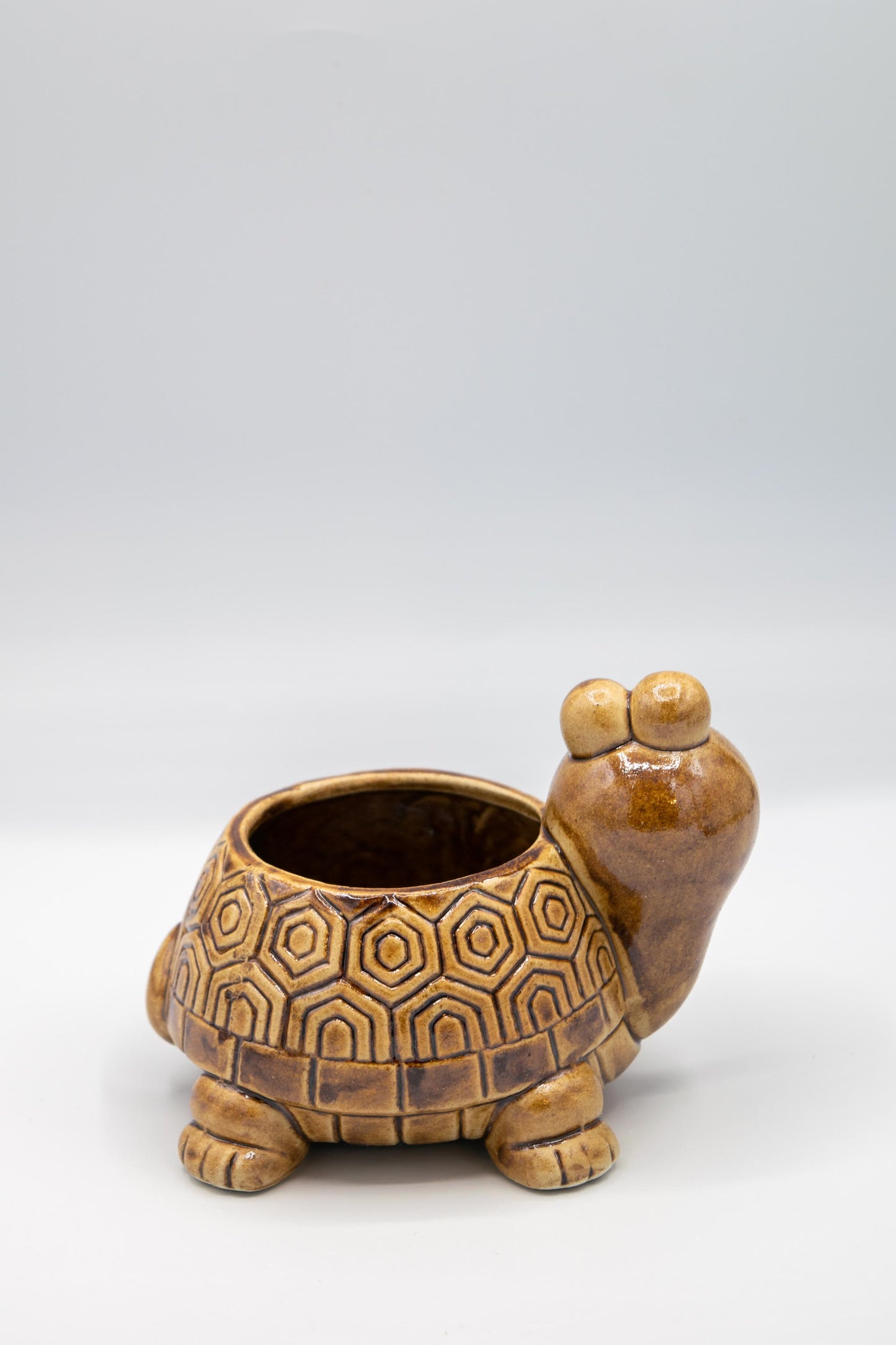 Turtle Planter