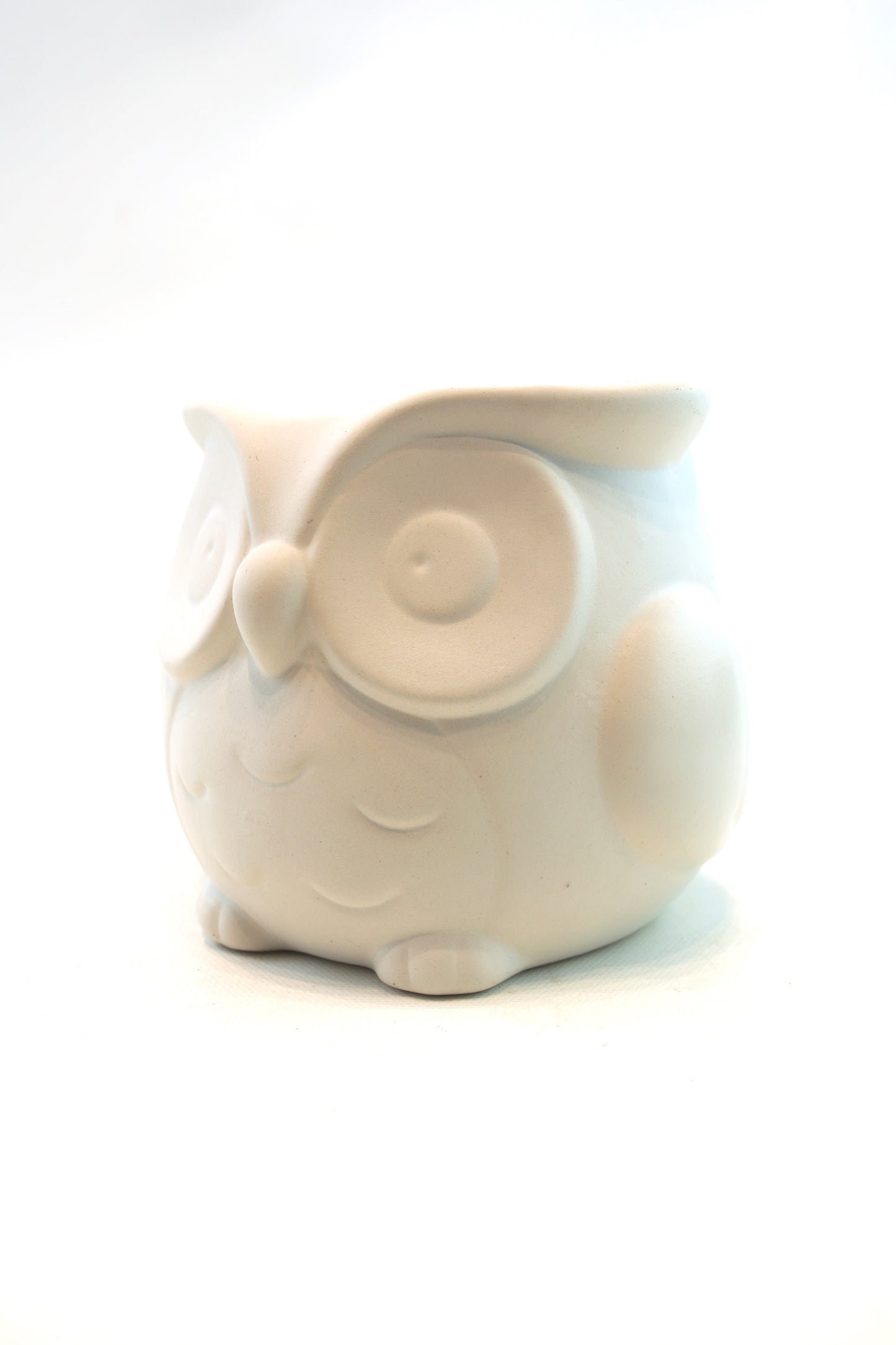 Large Owl Color Planter