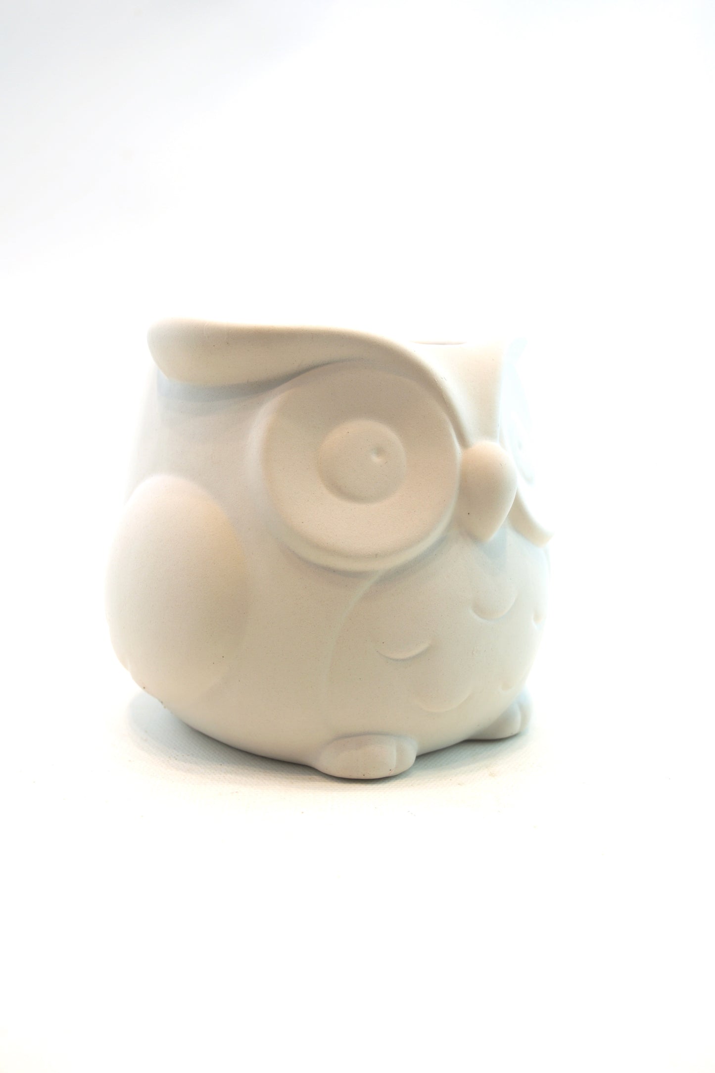 Large Owl Color Planter