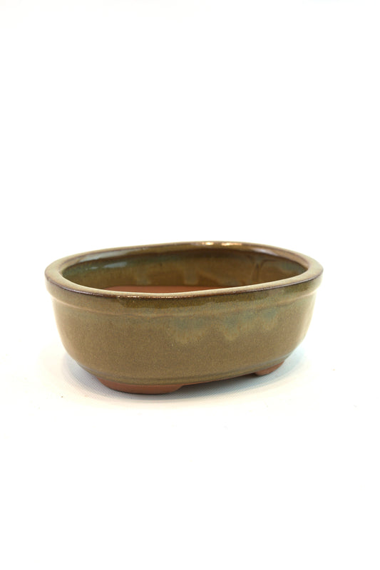 Glazed Bonsai Pot 6"