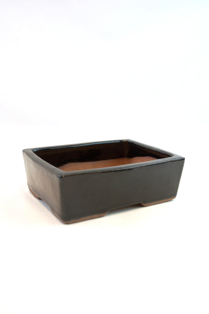 Glazed Bonsai Pot 6"