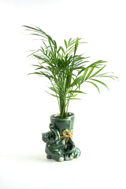 Elephants Green Planter