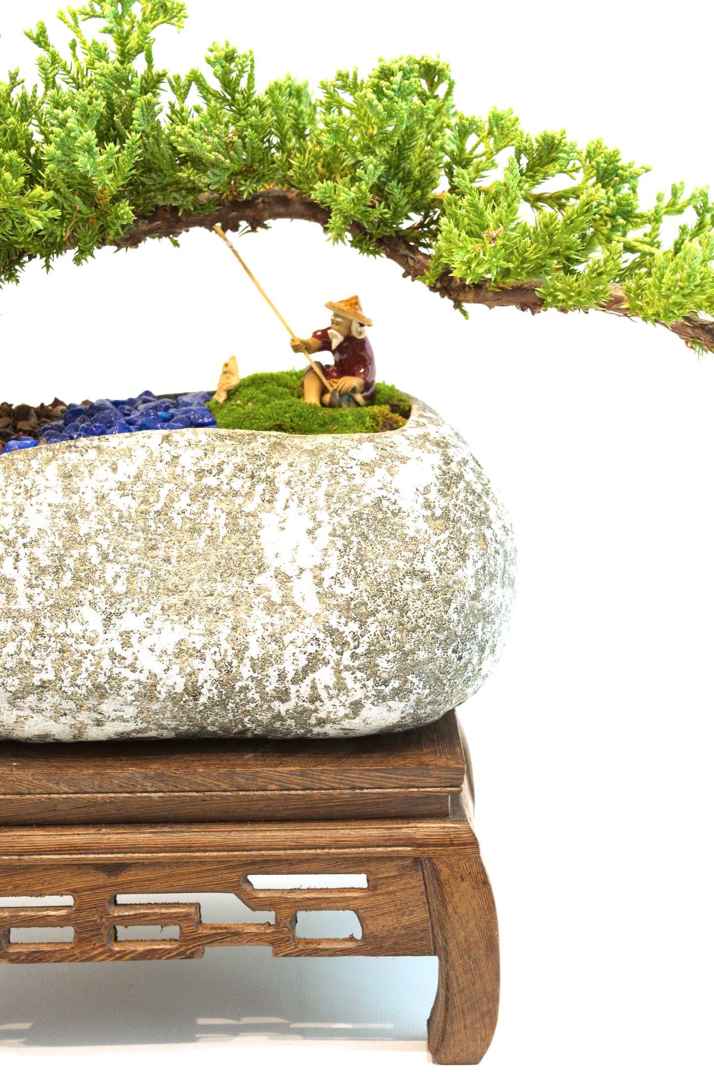 Juniper Live Bonsai Rock Ceramic 10" Pot - One of a Kind Bonsai