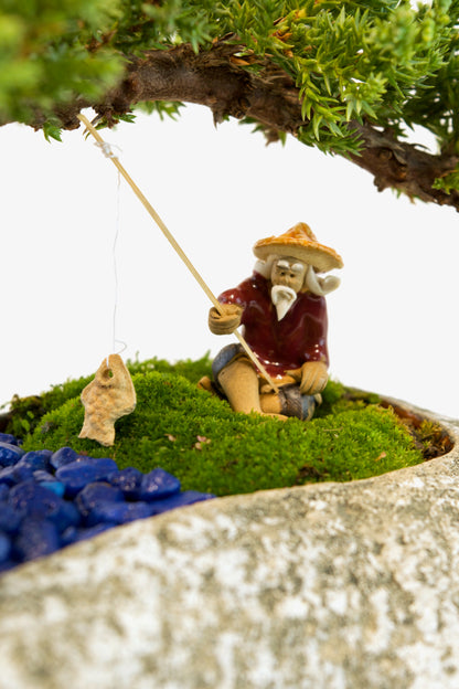 Juniper Live Bonsai Rock Ceramic 10" Pot - One of a Kind Bonsai