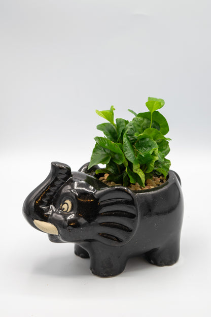 Elephant Large Planter