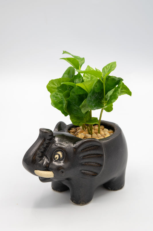Elephant Small Planter