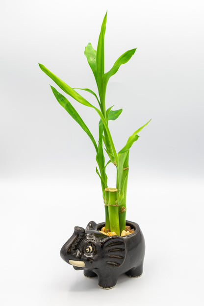 Elephant Large Planter