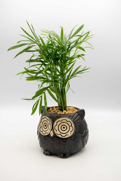 Owl Large Planter