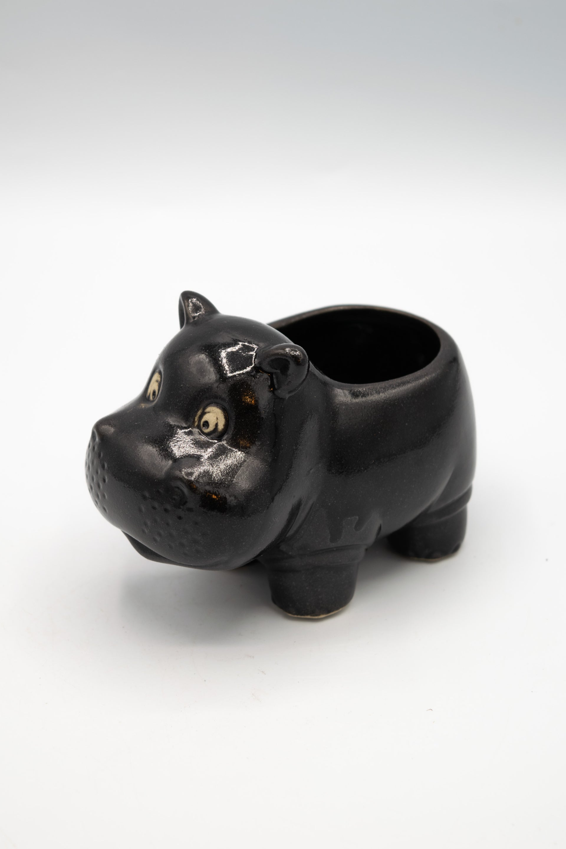 Handcrafted Hippo Planters – Ideal Gifts for Plant & Animal Enthusiasts