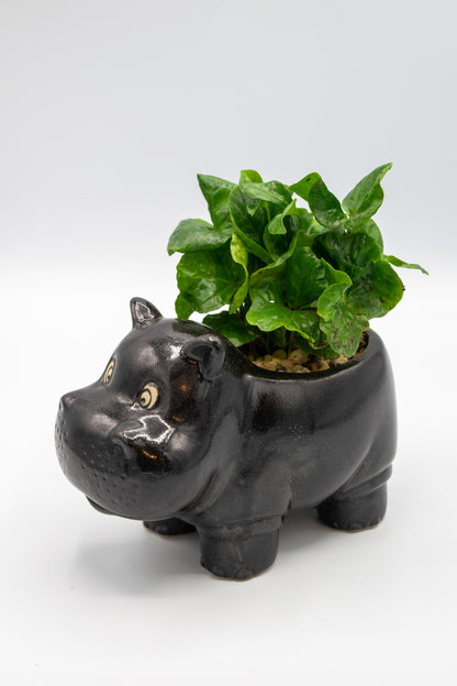 Hippo Large Planter