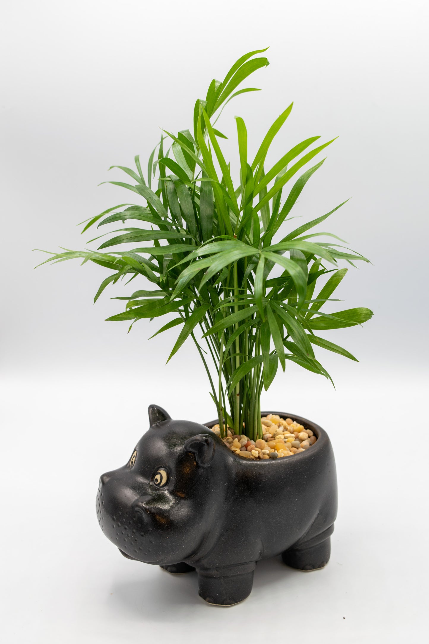 Hippo Large Planter