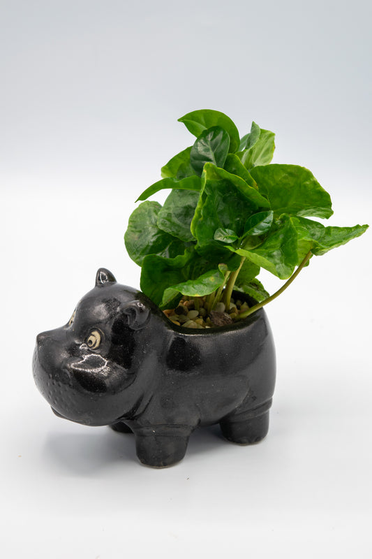 Hippo Small Planter