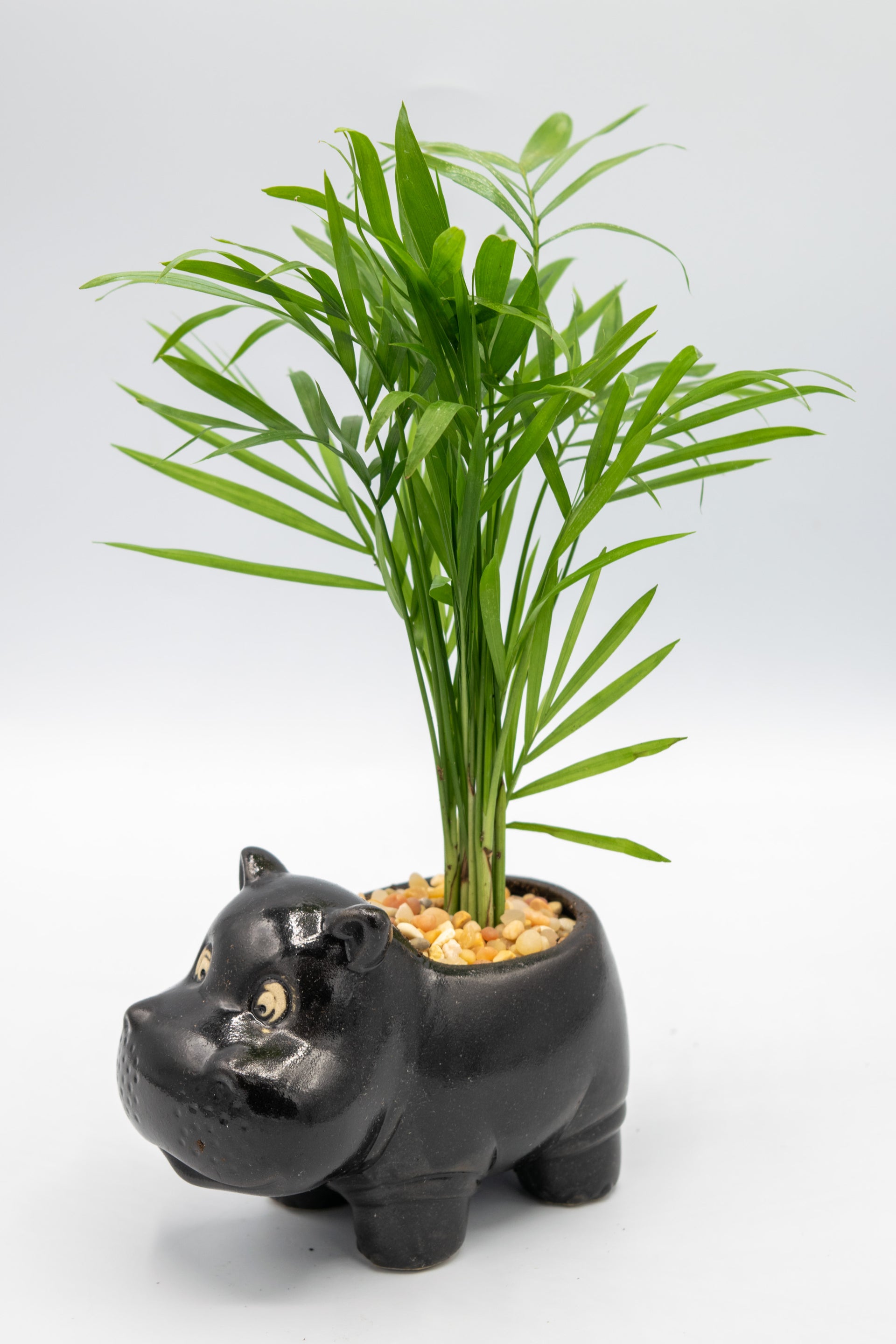 hippo succulent planter Handcrafted Hippo Planters – Ideal Gifts for Plant & Animal Enthusiasts