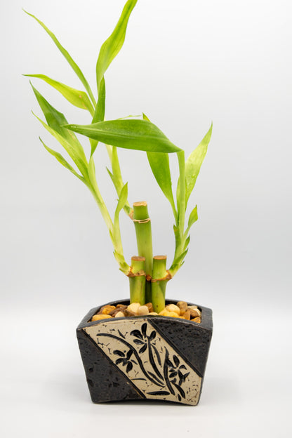 Ceramic Rectangle Orchid Floral Planter