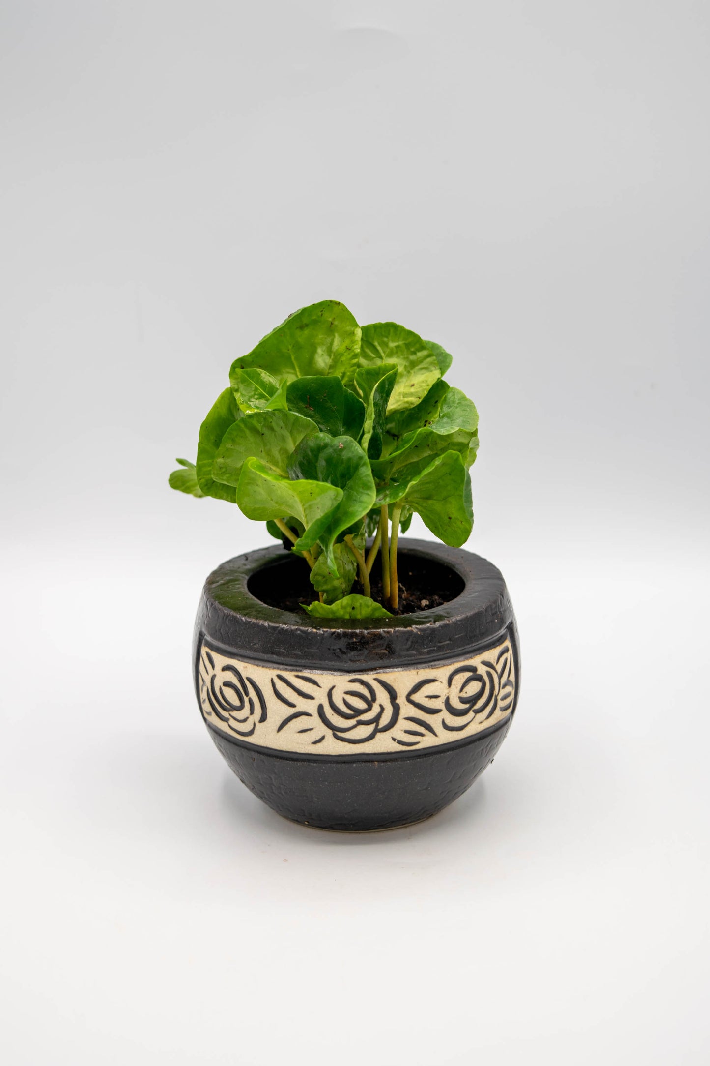 Round Rose Floral Planter