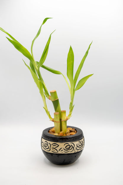 Round Rose Floral Planter