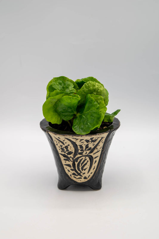 Orchid Planter