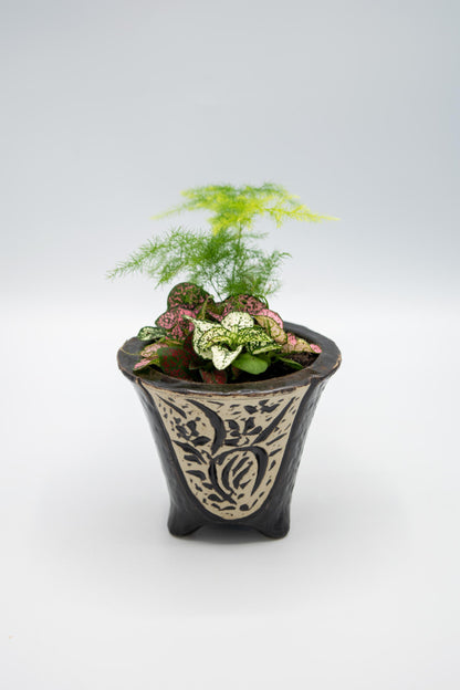 Orchid Planter