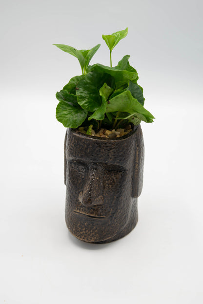 Easter Island Head Planter
