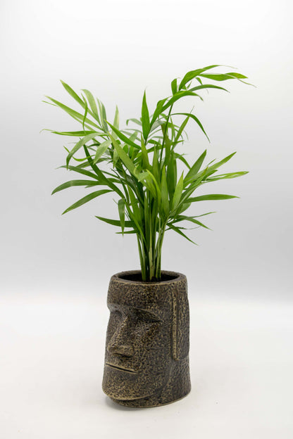 Easter Island Head Planter