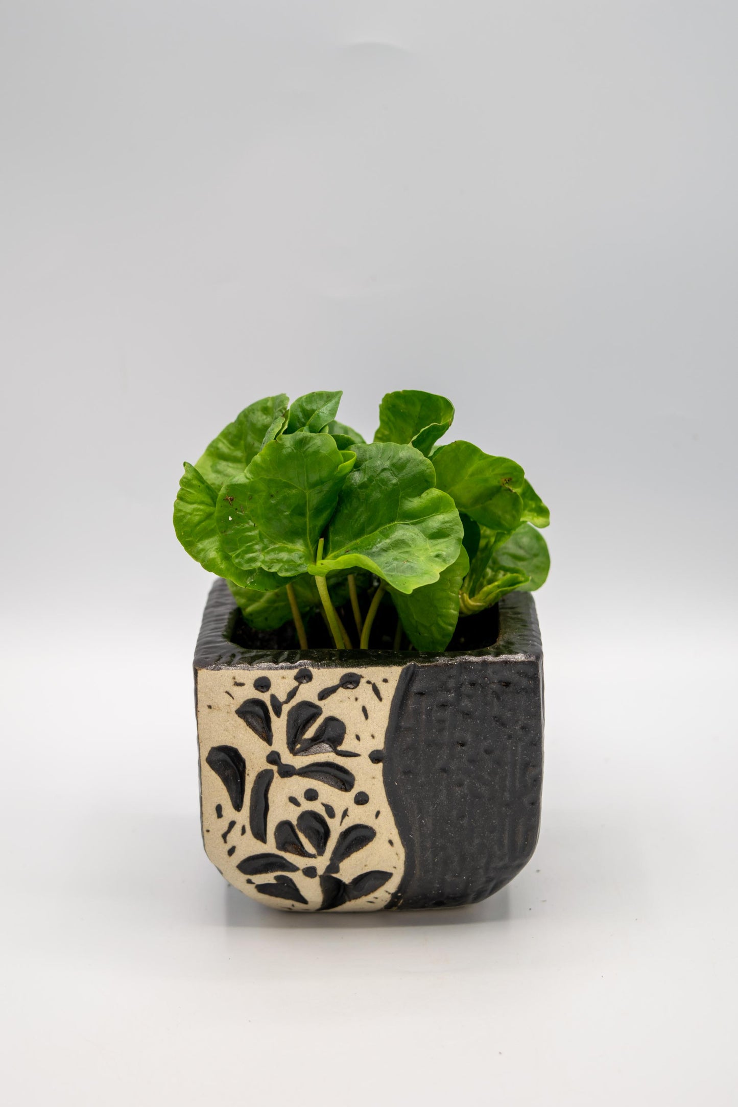 Ceramic Square Shaped Floral Planter