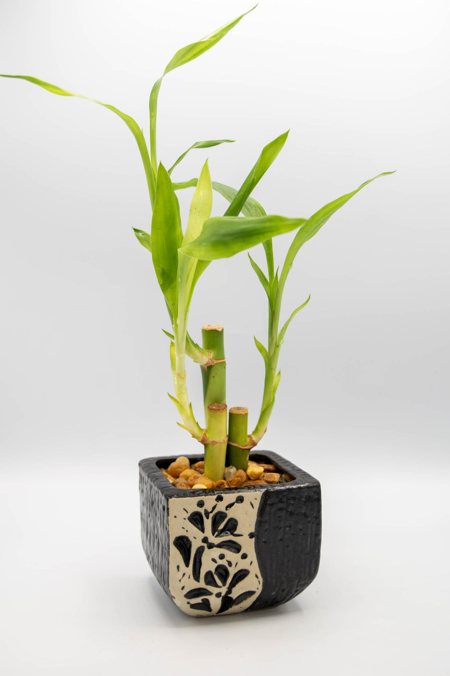 Ceramic Square Shaped Floral Planter