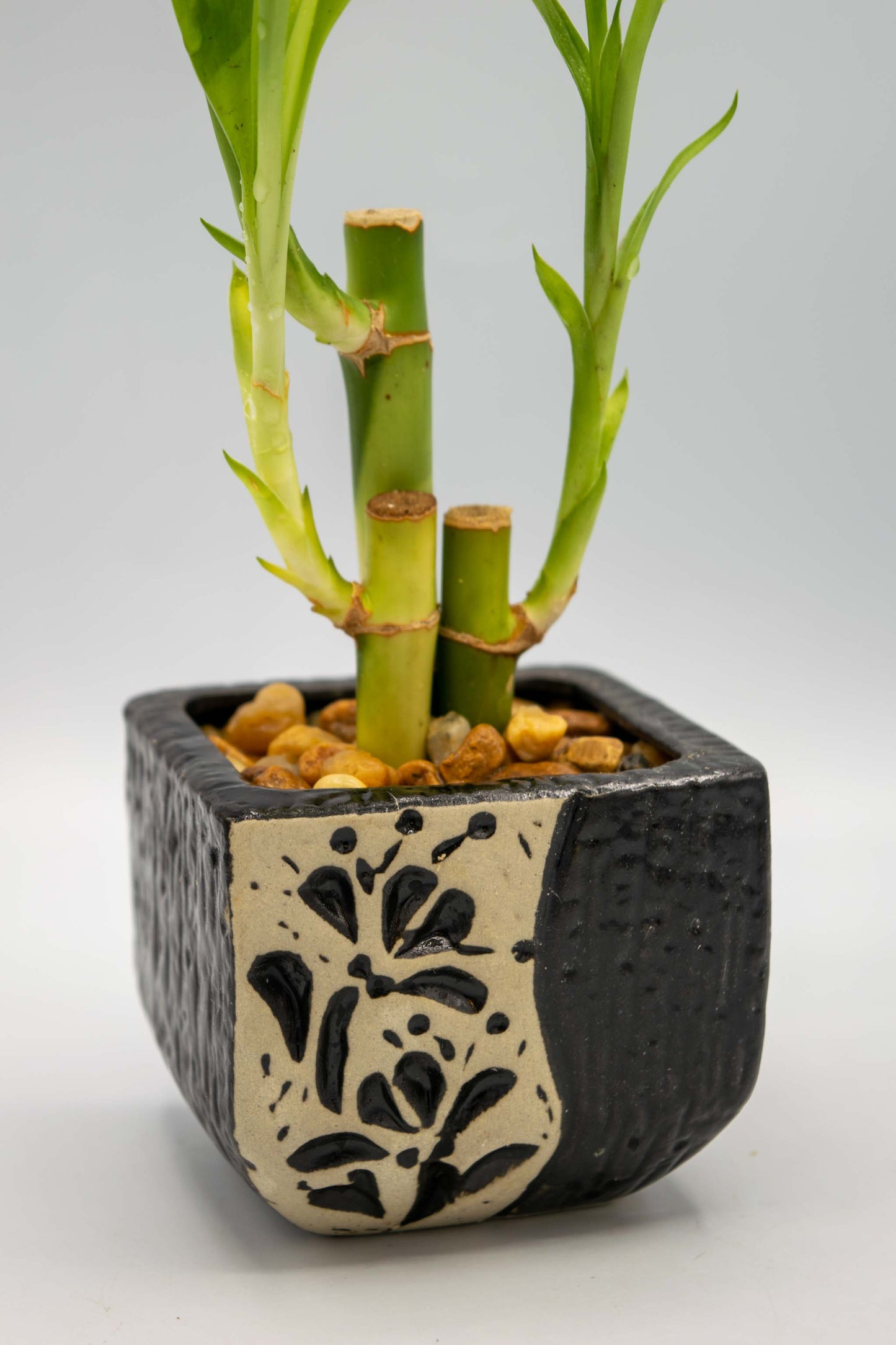 Ceramic Square Shaped Floral Planter