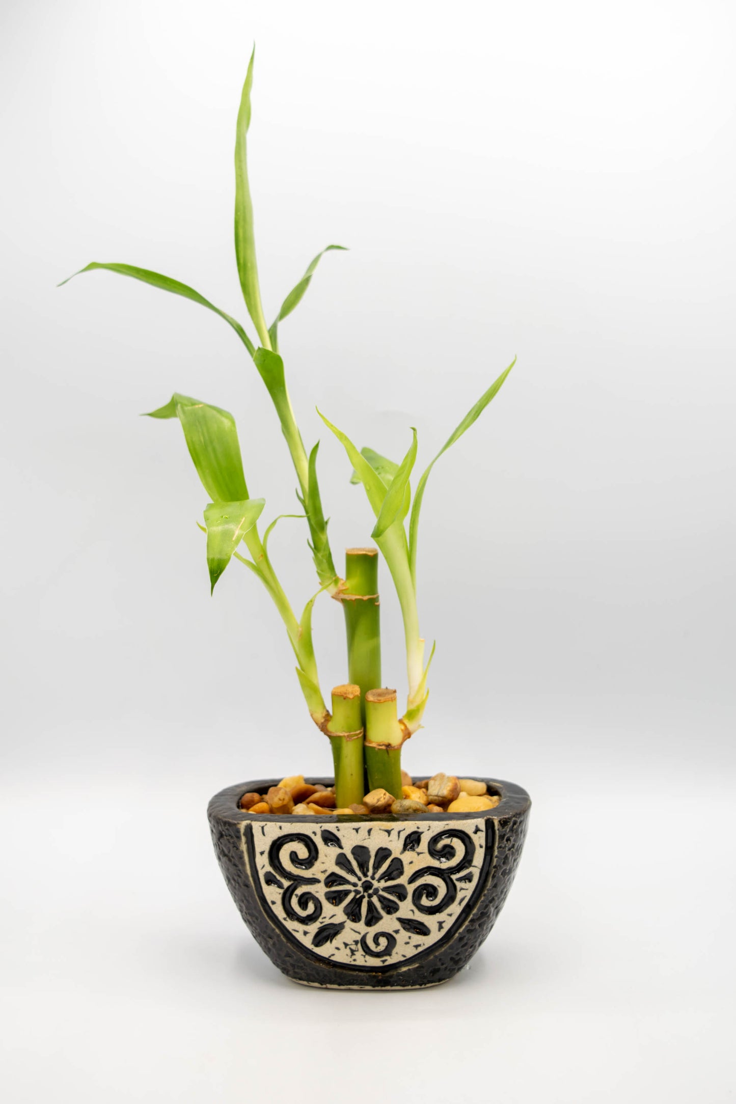 Ceramic Tapered Oval Shaped Floral Planter Small