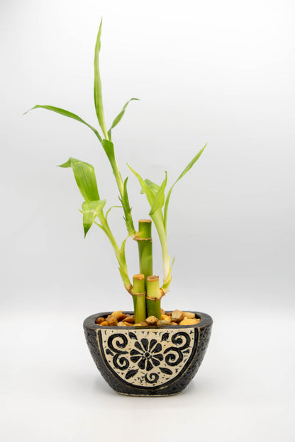 Ceramic Tapered Oval Shaped Floral Planter Small