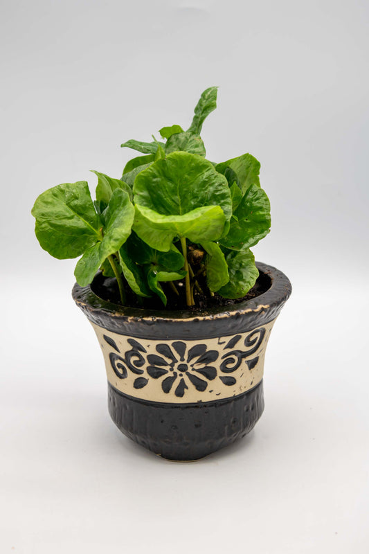 Ceramic Circular Floral Planter Small