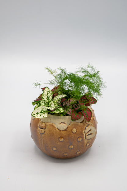 Blowfish Small Planter