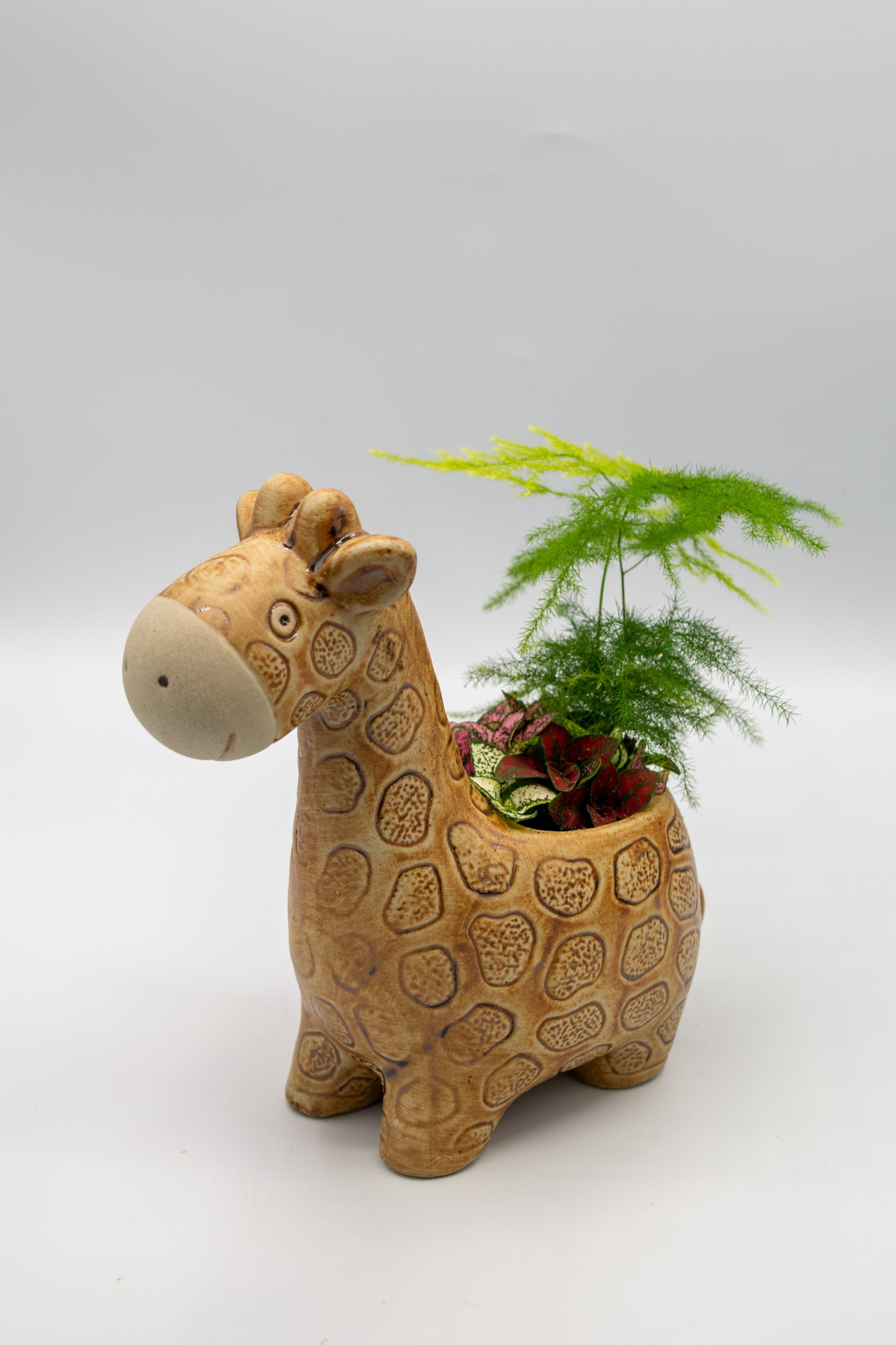 Handcrafted Giraffe Planters – Ideal Gifts for Plant & Animal Enthusiasts
