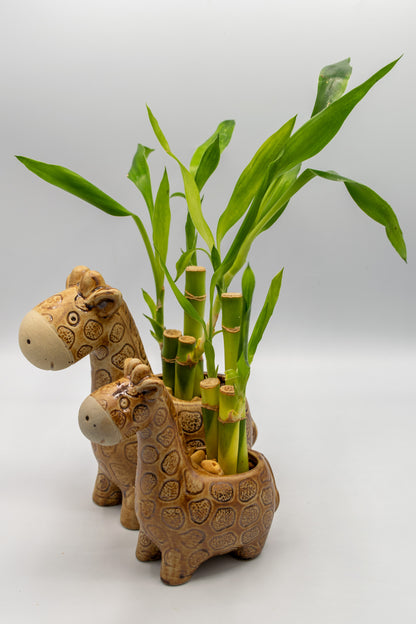 Giraffe Small Planter