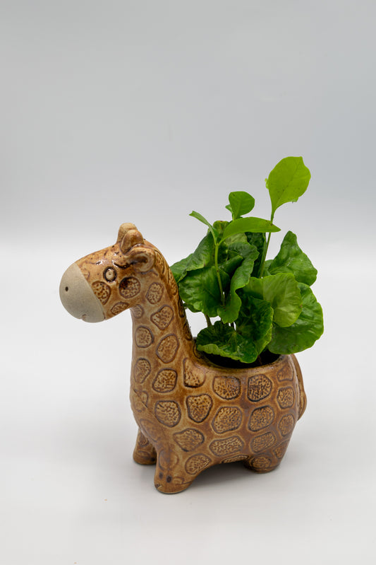 Giraffe Small Planter