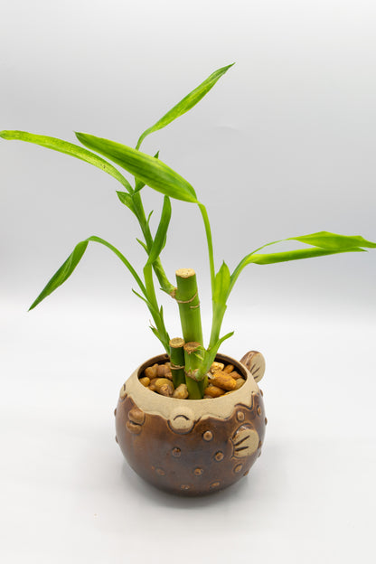 Blowfish Large Planter