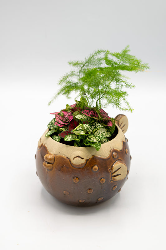 Blowfish Large Planter