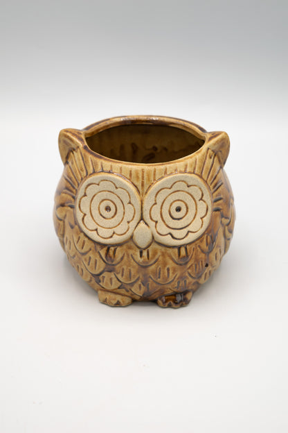 Owl Large Planter